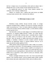 Referāts 'Personāla motivācijas paaugstināšanas iespējas', 8.