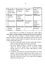 Referāts 'Personāla motivācijas paaugstināšanas iespējas', 45.