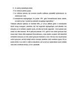 Referāts 'Tiesību socioloģijas nozīme tiesiskās sistēmas pilnveidošanā', 13.