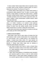 Referāts 'Betijas Ņūmenas teorijas sistēmas modelis', 3.