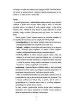 Referāts 'Betijas Ņūmenas teorijas sistēmas modelis', 6.