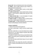 Referāts 'Betijas Ņūmenas teorijas sistēmas modelis', 8.