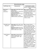 Konspekts 'Rotaļu vērojums', 2.