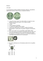 Referāts 'Brīvmūrniecība - sevis izzināšana', 8.