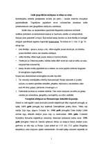 Konspekts 'Pasaules ekonomikas attīstība viduslaikos. Kapitāla sākotnējā uzkrāšanās', 2.