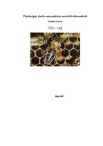 Konspekts 'Patstāvīgais darbs matemātikas metodikā sākumskolā', 1.