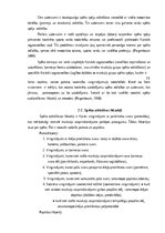 Referāts 'Spēka attīstība 15-16. gadus veciem skolēniem ārpusstundu nodarbībās', 26.