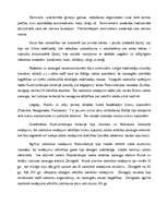 Referāts 'Latvijas vēstures procesa periodizācija', 3.