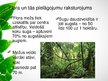 Prezentācija 'Tropu meži', 7.