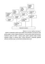 Referāts 'Sistēmiskā pieeja policijas darbinieku profesionālai sagatavošanai', 6.