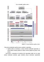 Referāts 'Sistēmiskā pieeja policijas darbinieku profesionālai sagatavošanai', 7.