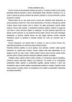 Referāts 'Sistēmiskā pieeja policijas darbinieku profesionālai sagatavošanai', 9.