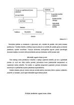 Referāts 'Sistēmiskā pieeja policijas darbinieku profesionālai sagatavošanai', 10.