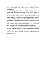 Eseja 'Eiropas Savienības un Amerikas Savienoto Valstu ekonomisko attiecību izaicinājum', 6.