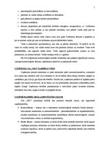 Prakses atskaite 'Pirmsdiploma prakses atskaite', 5.