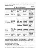 Prakses atskaite 'Pirmsdiploma prakses atskaite', 8.