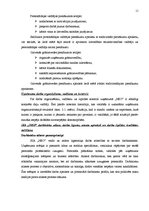 Prakses atskaite 'Pirmsdiploma prakses atskaite', 11.