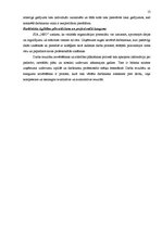 Prakses atskaite 'Pirmsdiploma prakses atskaite', 13.