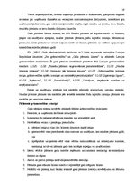 Prakses atskaite 'Pirmsdiploma prakses atskaite', 19.