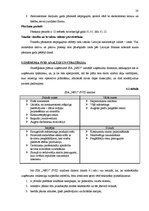 Prakses atskaite 'Pirmsdiploma prakses atskaite', 20.