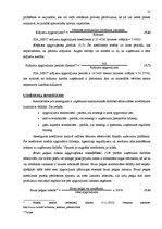 Prakses atskaite 'Pirmsdiploma prakses atskaite', 25.