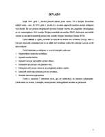 Referāts 'Eiro - būt vai nebūt Latvijā', 3.