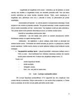 Referāts 'Eiro - būt vai nebūt Latvijā', 6.