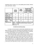 Referāts 'Eiro - būt vai nebūt Latvijā', 17.