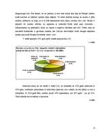 Referāts 'Eiro - būt vai nebūt Latvijā', 18.