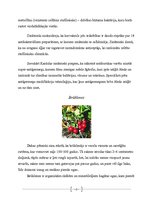 Referāts 'Antibiotikas', 10.