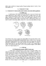 Referāts 'Rīgas 64.vidusskolas zēnu krāsu redzes izšķiršana', 12.