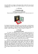 Referāts 'Rīgas 64.vidusskolas zēnu krāsu redzes izšķiršana', 13.