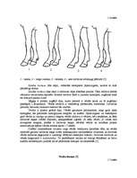 Referāts 'Selekcijas darbs zirgkopībā', 15.