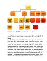 Diplomdarbs 'Drukāto mediju reklāmas attīstības tendences. Projekta izstrāde uzņēmumā SIA "TV', 41.