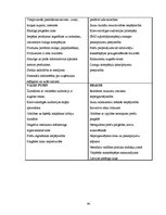 Diplomdarbs 'Drukāto mediju reklāmas attīstības tendences. Projekta izstrāde uzņēmumā SIA "TV', 64.