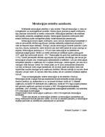 Eseja 'Metalurģijas attīstība mūsdienās', 1.