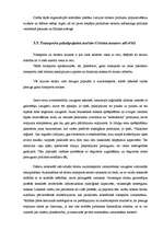 Referāts 'Tūrisma attīstības perspektīvas Latvijā', 18.