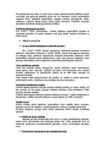 Biznesa plāns 'Biznesa plāns', 3.