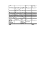 Biznesa plāns 'Biznesa plāns', 7.