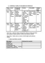 Biznesa plāns 'Biznesa plāns', 10.