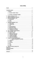 Referāts 'Interneta pieslēguma veidi Daugavpilī un tās rajonā', 1.