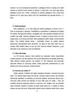 Referāts 'Interneta pieslēguma veidi Daugavpilī un tās rajonā', 10.