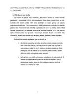 Referāts 'Interneta pieslēguma veidi Daugavpilī un tās rajonā', 11.