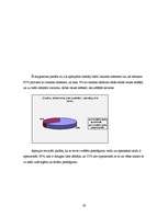 Referāts 'Interneta pieslēguma veidi Daugavpilī un tās rajonā', 19.