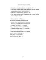 Referāts 'Interneta pieslēguma veidi Daugavpilī un tās rajonā', 24.