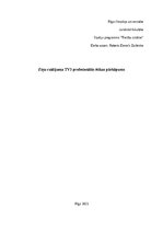 Eseja 'Ziņu raidījuma TV3 profesionālās ētikas pārkāpums', 1.