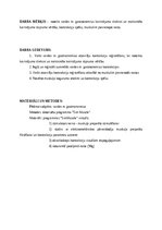 Konspekts 'Nerva muskuļa preparāts (vardes muskulis)', 2.