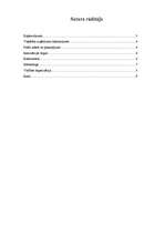 Biznesa plāns 'Biznesa plāns', 1.