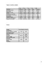 Biznesa plāns 'Biznesa plāns', 13.