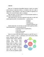 Referāts 'Organizācijas mijiedarbība ar ārējo vidi', 3.